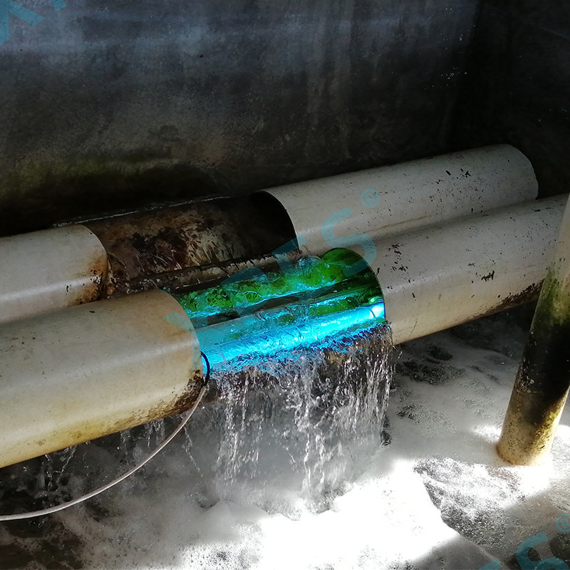 UV Lamps For Abalone Farming